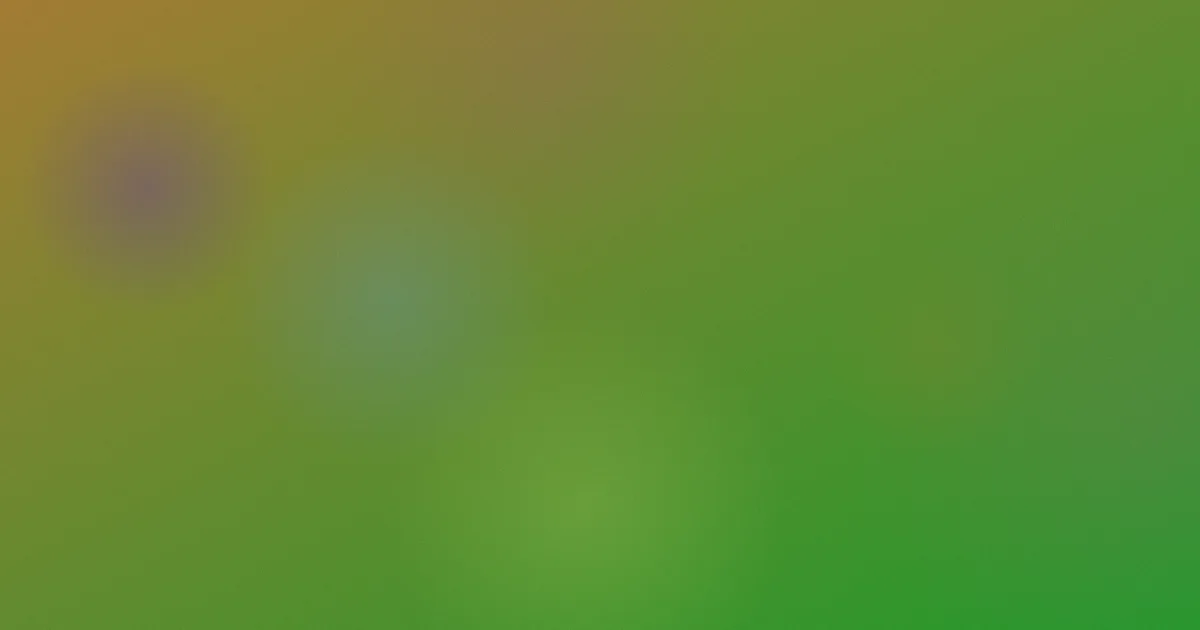 辣妻子影院对比：一次真实复盘